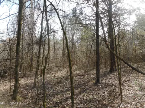 1196 Ellis Rd, West, MS 39192 photo 51