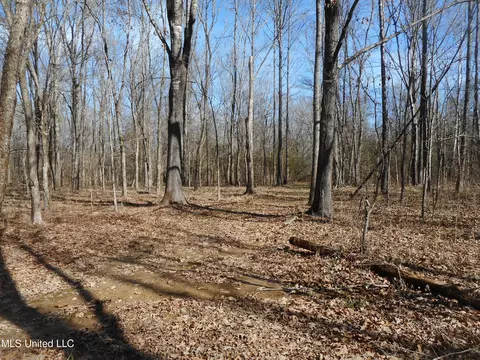 1196 Ellis Rd, West, MS 39192 photo 16