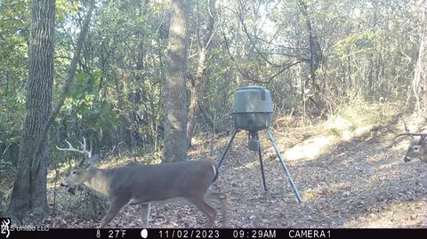 1196 Ellis Rd, West, MS 39192 photo 70