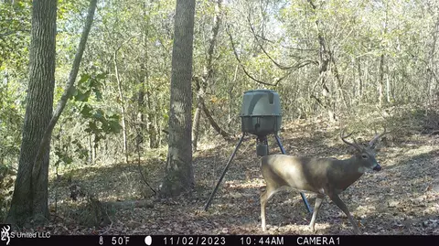 1196 Ellis Rd, West, MS 39192 photo 73