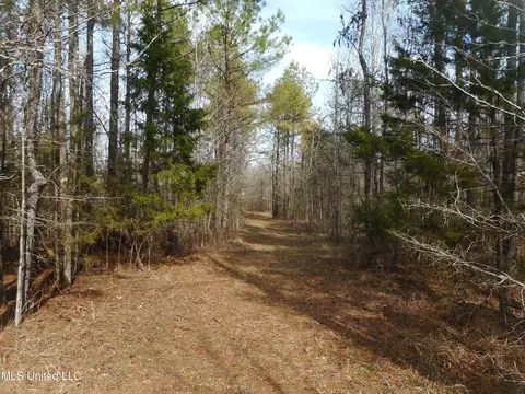 1196 Ellis Rd, West, MS 39192 photo 54