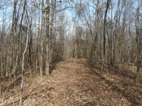 1196 Ellis Rd, West, MS 39192 photo 62