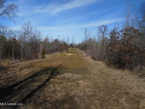 1196 Ellis Rd, West, MS 39192 photo 20