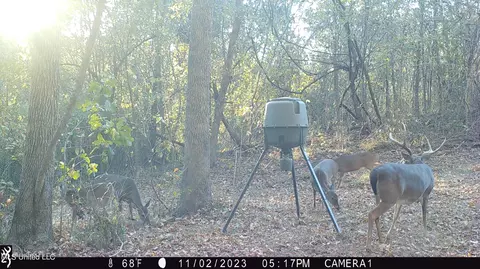 1196 Ellis Rd, West, MS 39192 photo 74