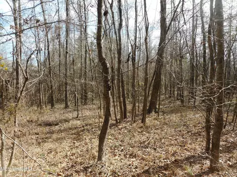 1196 Ellis Rd, West, MS 39192 photo 55