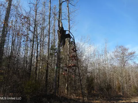 1196 Ellis Rd, West, MS 39192 photo 21