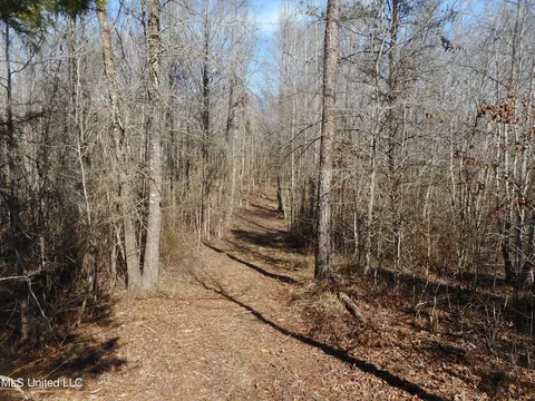 1196 Ellis Rd, West, MS 39192 photo 15