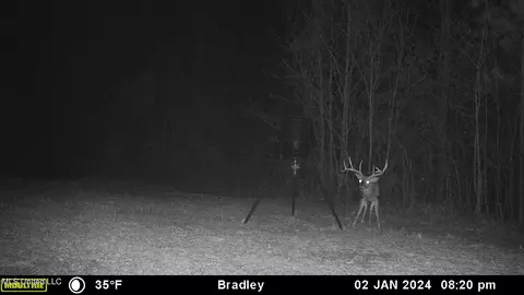 1196 Ellis Rd, West, MS 39192 photo 77