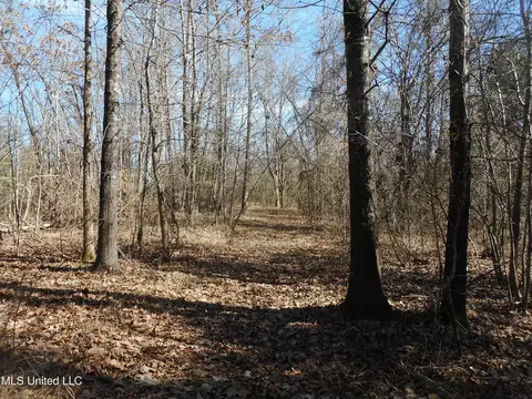 1196 Ellis Rd, West, MS 39192 photo 25