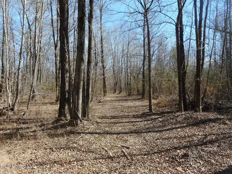 1196 Ellis Rd, West, MS 39192 photo 13