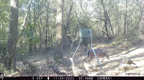 1196 Ellis Rd, West, MS 39192 photo 75