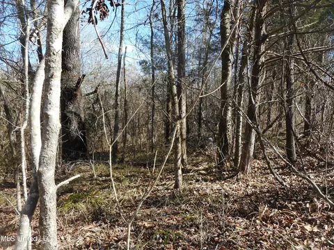 1196 Ellis Rd, West, MS 39192 photo 24