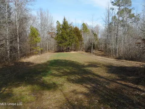 1196 Ellis Rd, West, MS 39192 photo 56