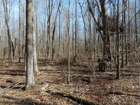 1196 Ellis Rd, West, MS 39192 photo 8