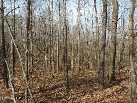 1196 Ellis Rd, West, MS 39192 photo 59
