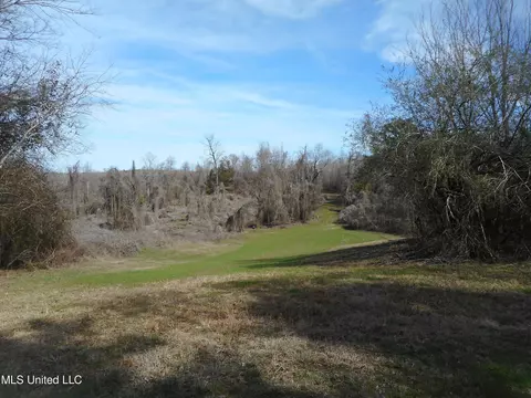 1196 Ellis Rd, West, MS 39192 photo 47