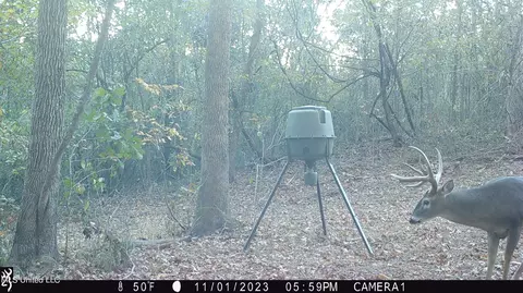 1196 Ellis Rd, West, MS 39192 photo 68