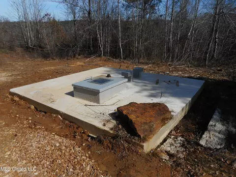 1196 Ellis Rd, West, MS 39192 photo 39