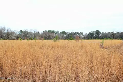 20 Ac Section Line Rd, Lucedale, MS 39452 photo 4