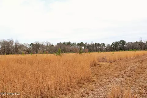 20 Ac Section Line Rd, Lucedale, MS 39452 photo 3