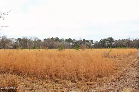 20 Ac Section Line Rd, Lucedale, MS 39452 photo 2