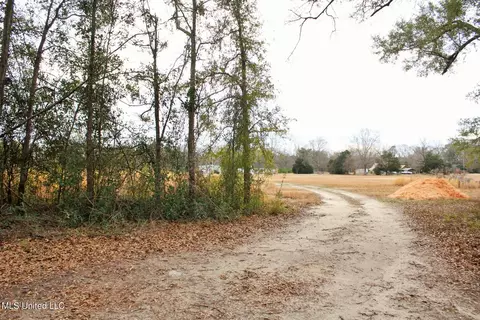 20 Ac Section Line Rd, Lucedale, MS 39452 photo 5