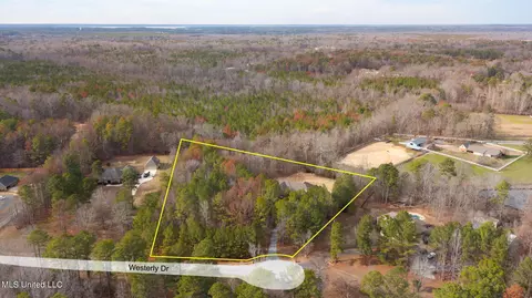 View/Area - 887 Westerly Dr, Brandon, MS 39042 photo 4 of 15