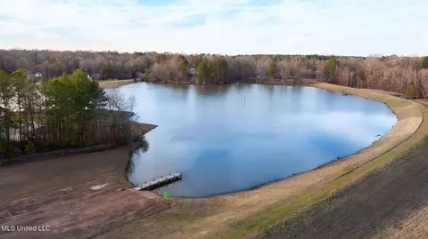 View/Area - 887 Westerly Dr, Brandon, MS 39042 photo 10 of 15