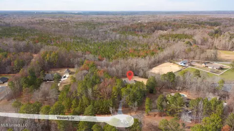 View/Area - 887 Westerly Dr, Brandon, MS 39042 photo 3 of 15