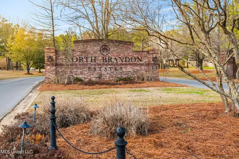 View/Area - 887 Westerly Dr, Brandon, MS 39042 photo 15 of 15