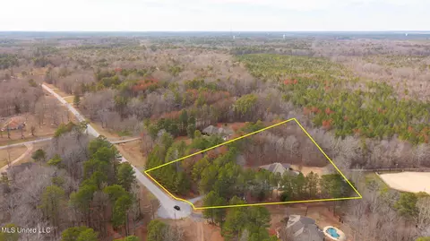 View/Area - 887 Westerly Dr, Brandon, MS 39042 photo 5 of 15
