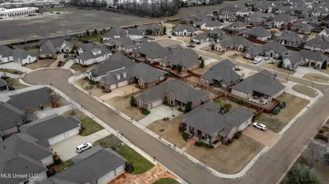 View/Area - 702 Amber Way, Flowood, MS 39232 photo 6 of 6