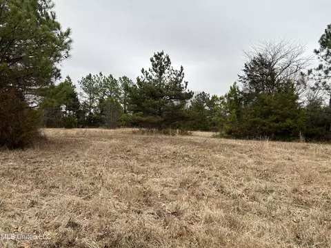3 0 Arces Payne Ln, Olive Branch, MS 38654