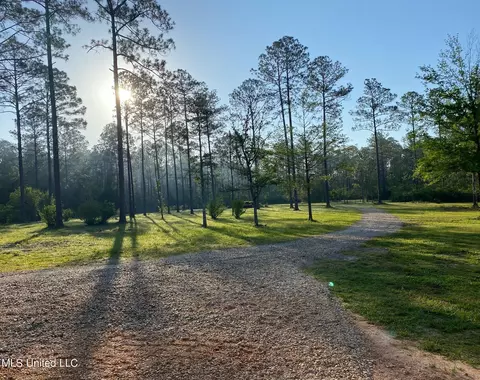 491 Jess Williams Rd, Poplarville, MS 39470