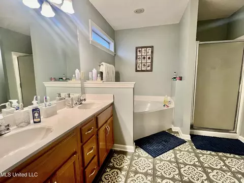 Bath - 1377 Pendulum Dr, Hernando, MS 38632 photo 1 of 2