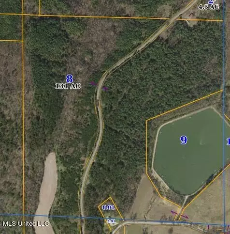 Marianna Road, Holly Springs, MS 38635