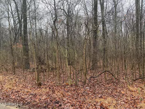 N Bankston Road, Nesbit, MS 38651 photo 3