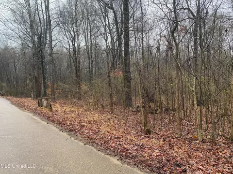 N Bankston Road, Nesbit, MS 38651 photo 2