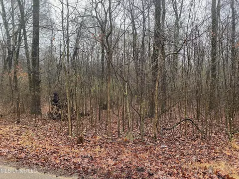 N Bankston Road, Nesbit, MS 38651