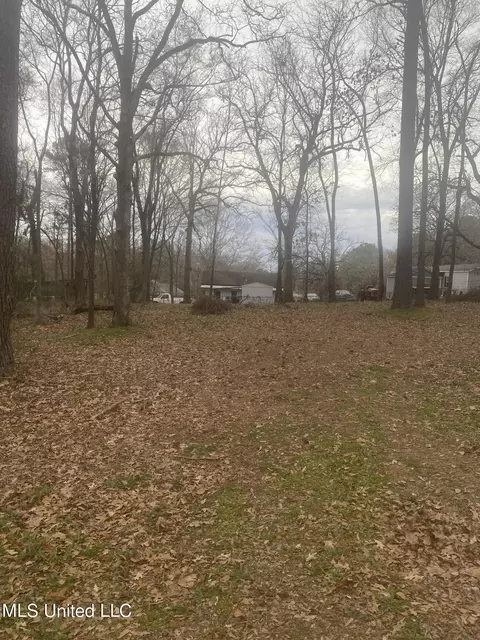 Hanging Moss Road, Richland, MS 39218