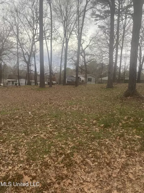Hanging Moss Road, Richland, MS 39218