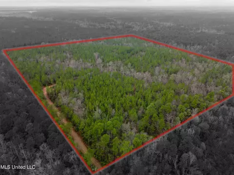 00 Stump Texas Rd, Lumberton, MS 39455