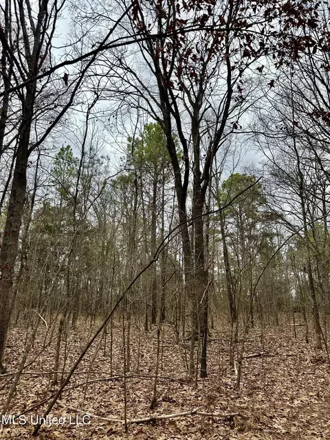 Ms-16, Canton, MS 39046 photo 7