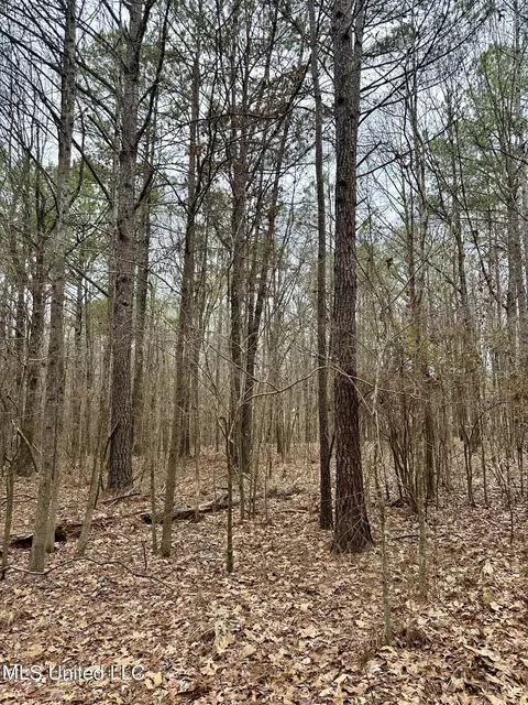 Ms-16, Canton, MS 39046 photo 8