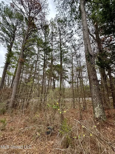 Ms-16, Canton, MS 39046 photo 4