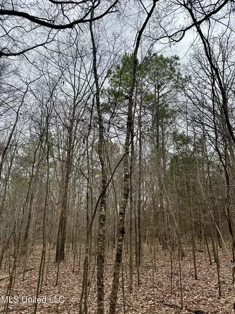 Ms-16, Canton, MS 39046 photo 12