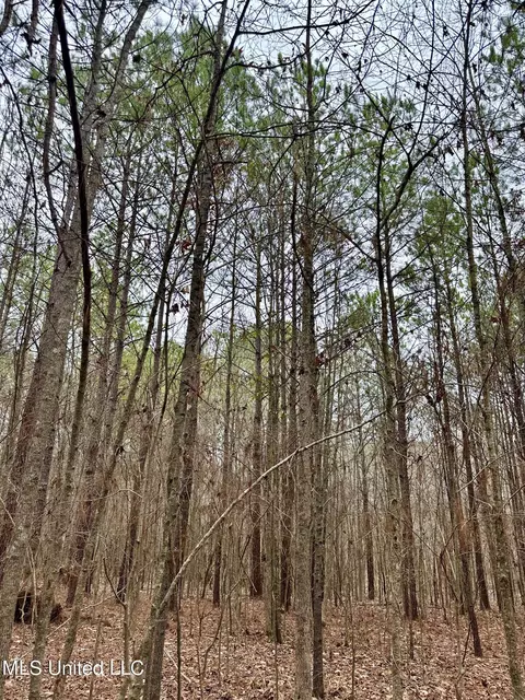 Ms-16, Canton, MS 39046 photo 13