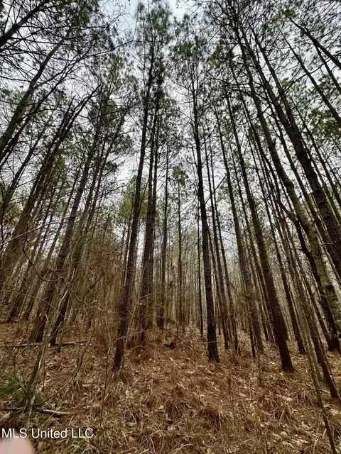 Ms-16, Canton, MS 39046 photo 9