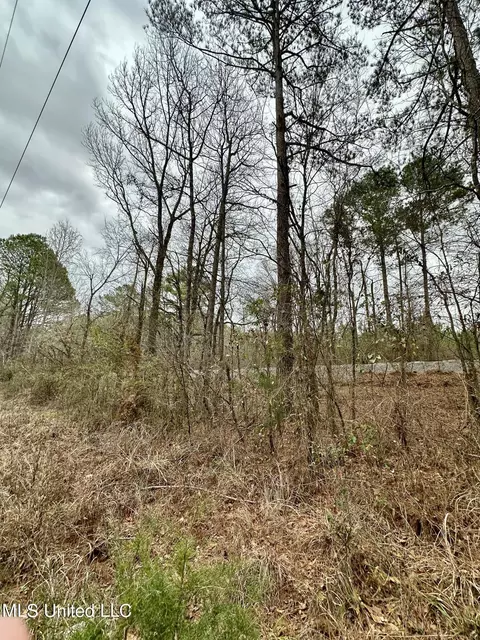 Ms-16, Canton, MS 39046 photo 5