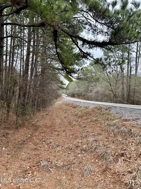 Ms-16, Canton, MS 39046 photo 2